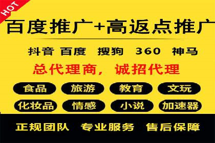 案例分析：百度竞价托管助力行业龙头